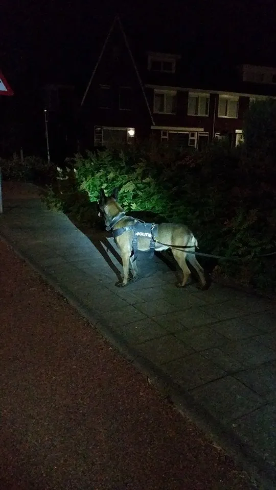 politiehond nacht facebook wijkagent drielanden