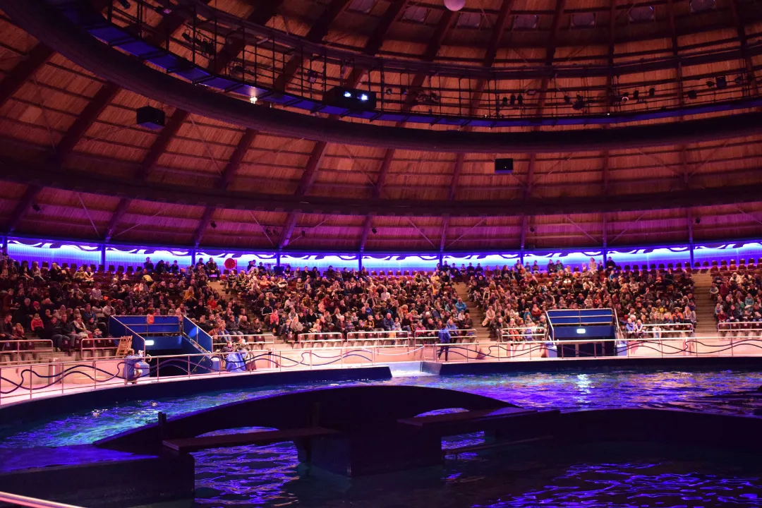 Dolfinarium DolfijndoMijn1