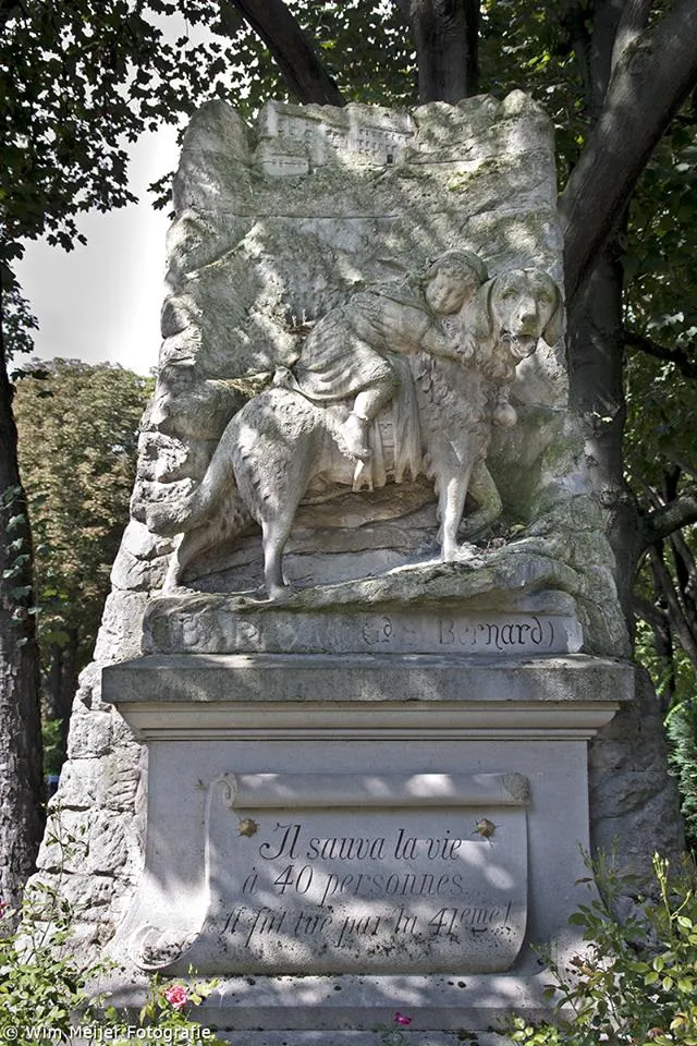 10624683 890163040995649 4519167175331543997 n