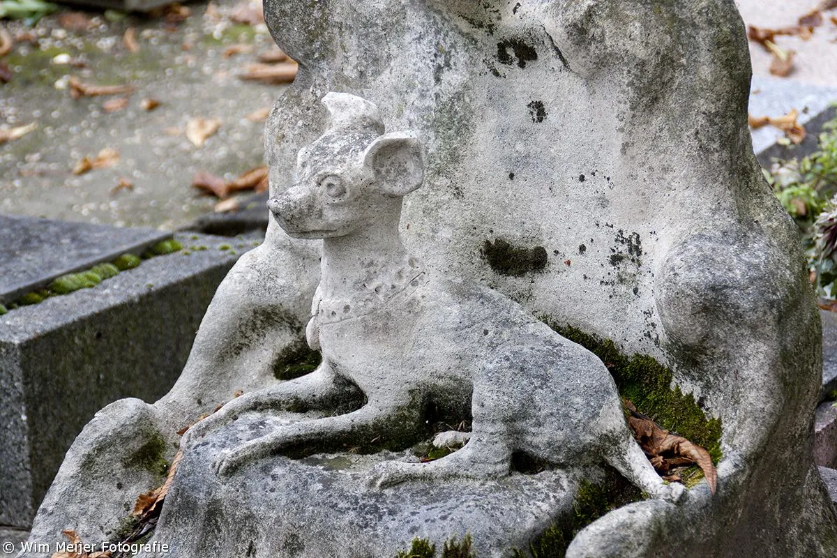 10679548 890163640995589 8777315648986812673 o