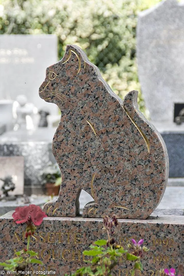 10698395 890164000995553 8905180540629053448 n