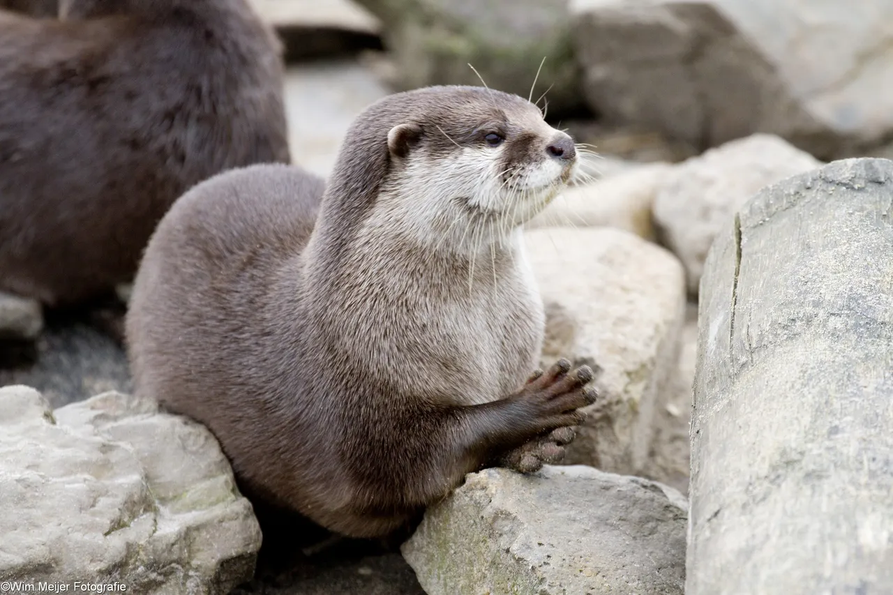 12195617163 c87d07a215 o