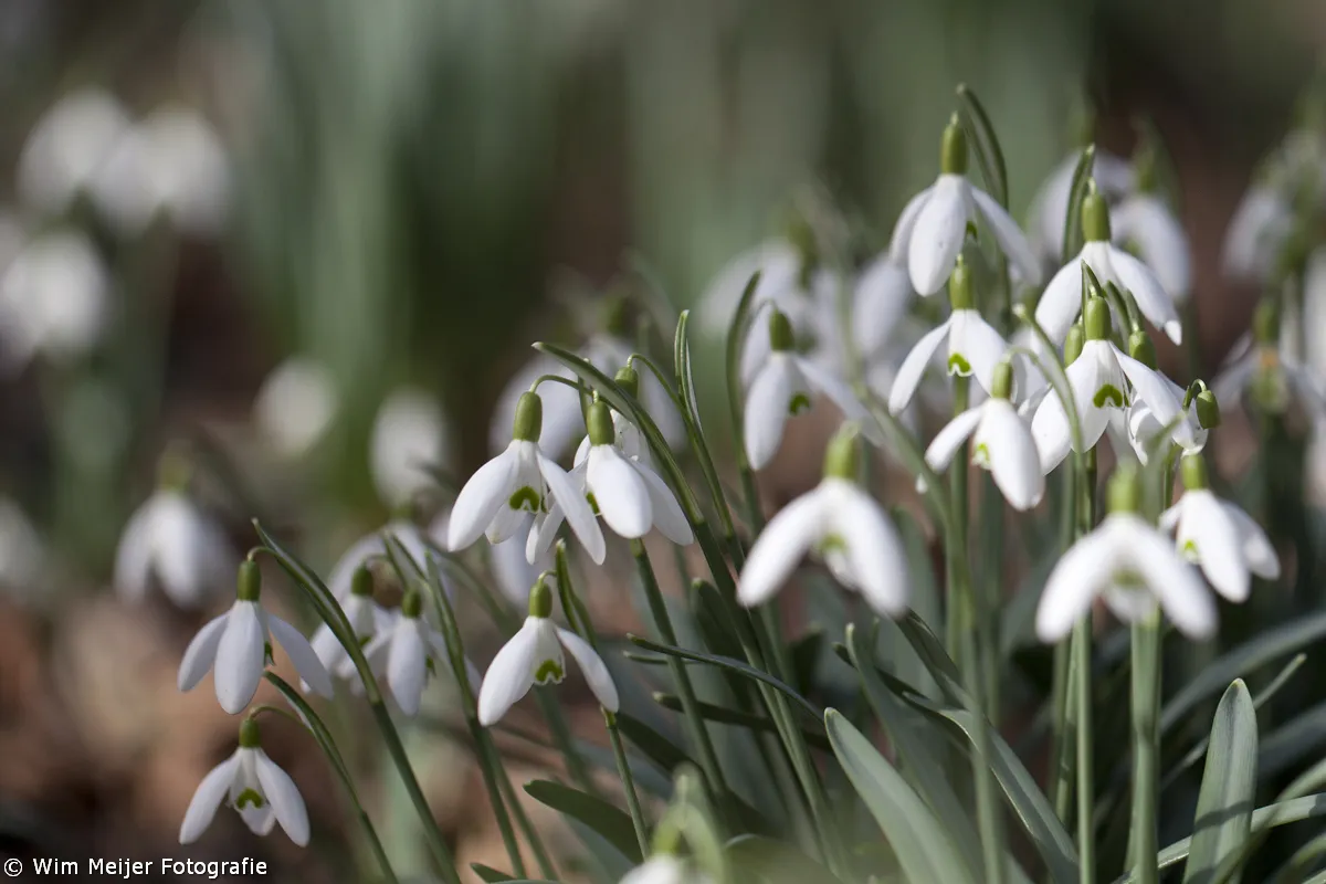 12819492703 7d84cef0d6 o