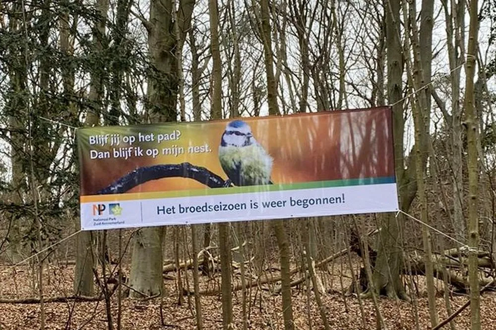 157500972 3801052469930130 670899883166595442 o