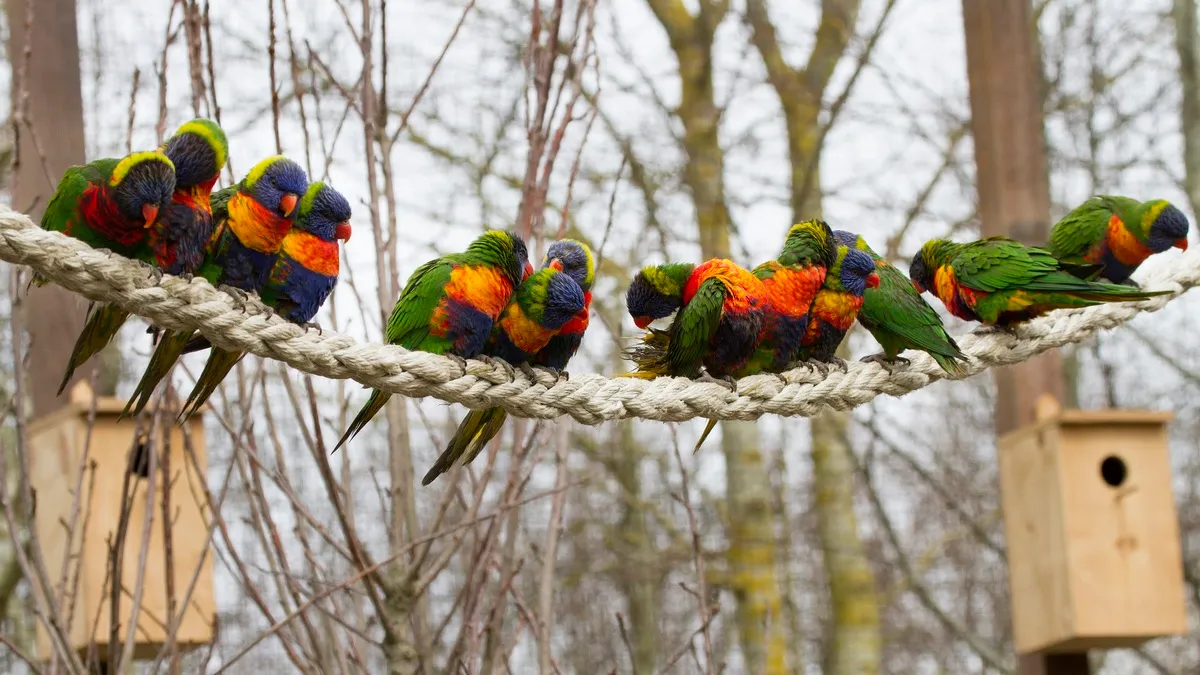 16853769618 ca12e564cb k