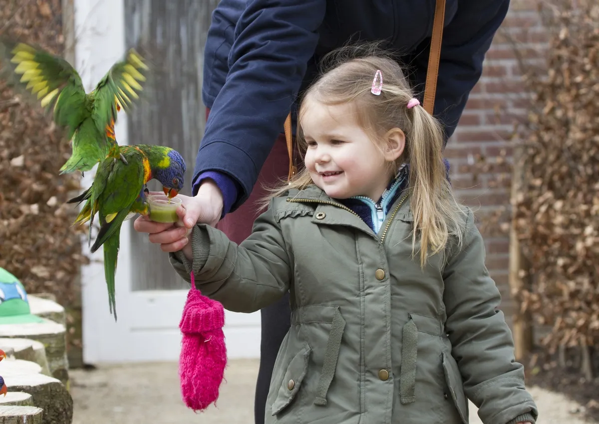 17040761411 d0cf5dc52d o