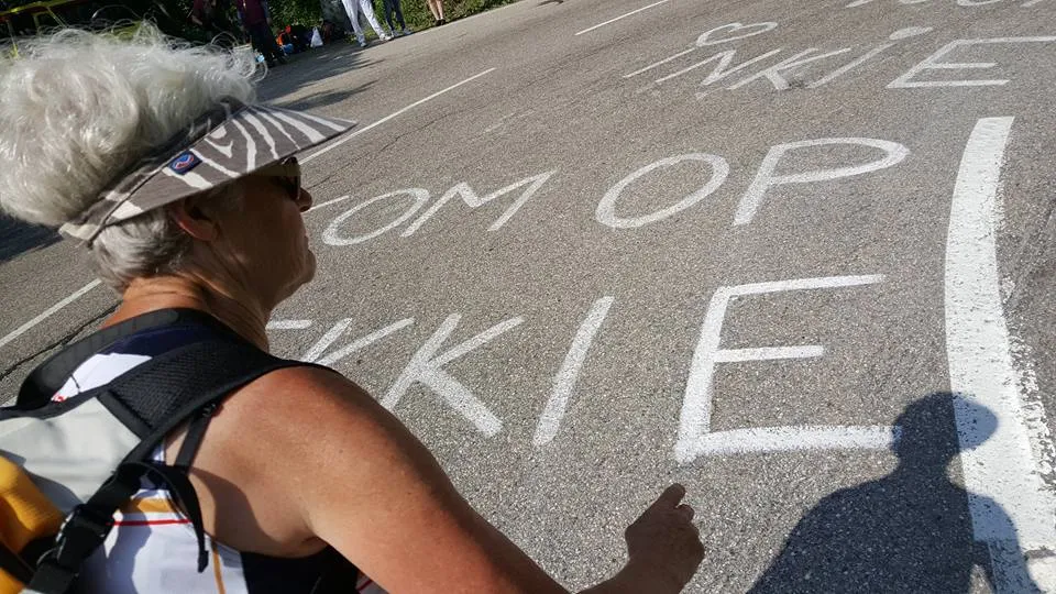 18766138 1374167302673265 2768591188850728739 n