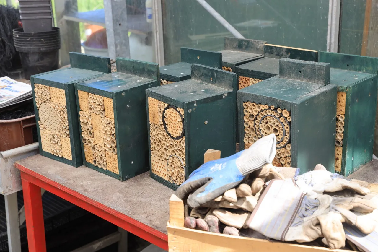 3z1a0746 insectenhotel wim meijer fotografie