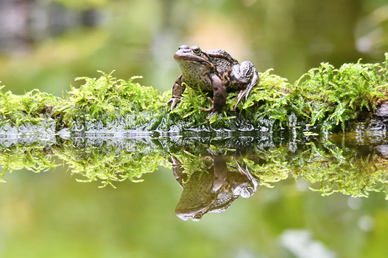 53285604 1134629393365106 882040339609681920 n