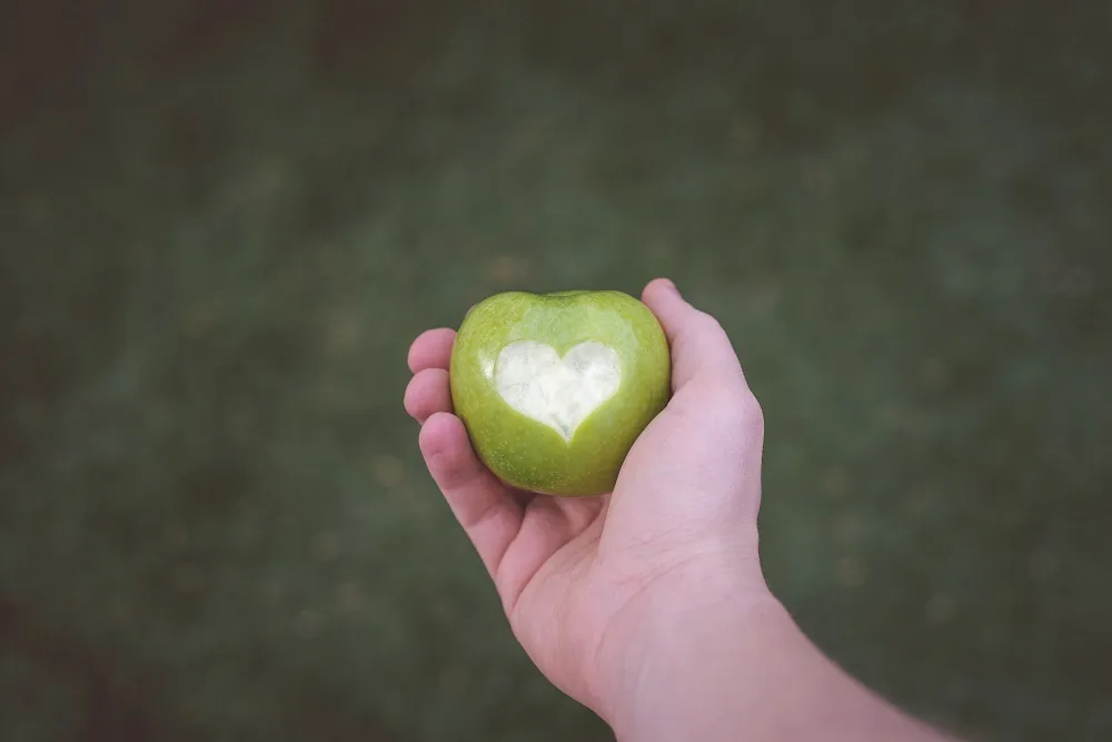 appels enzo