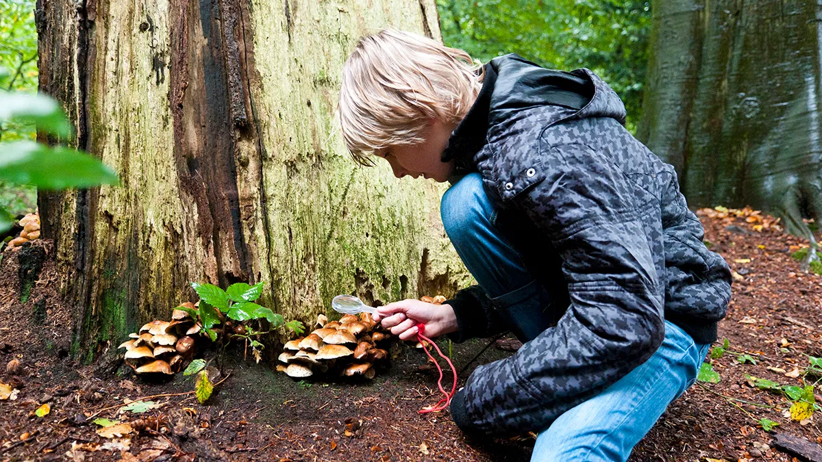 c2a9 natuurmonumenten janko van beek 1