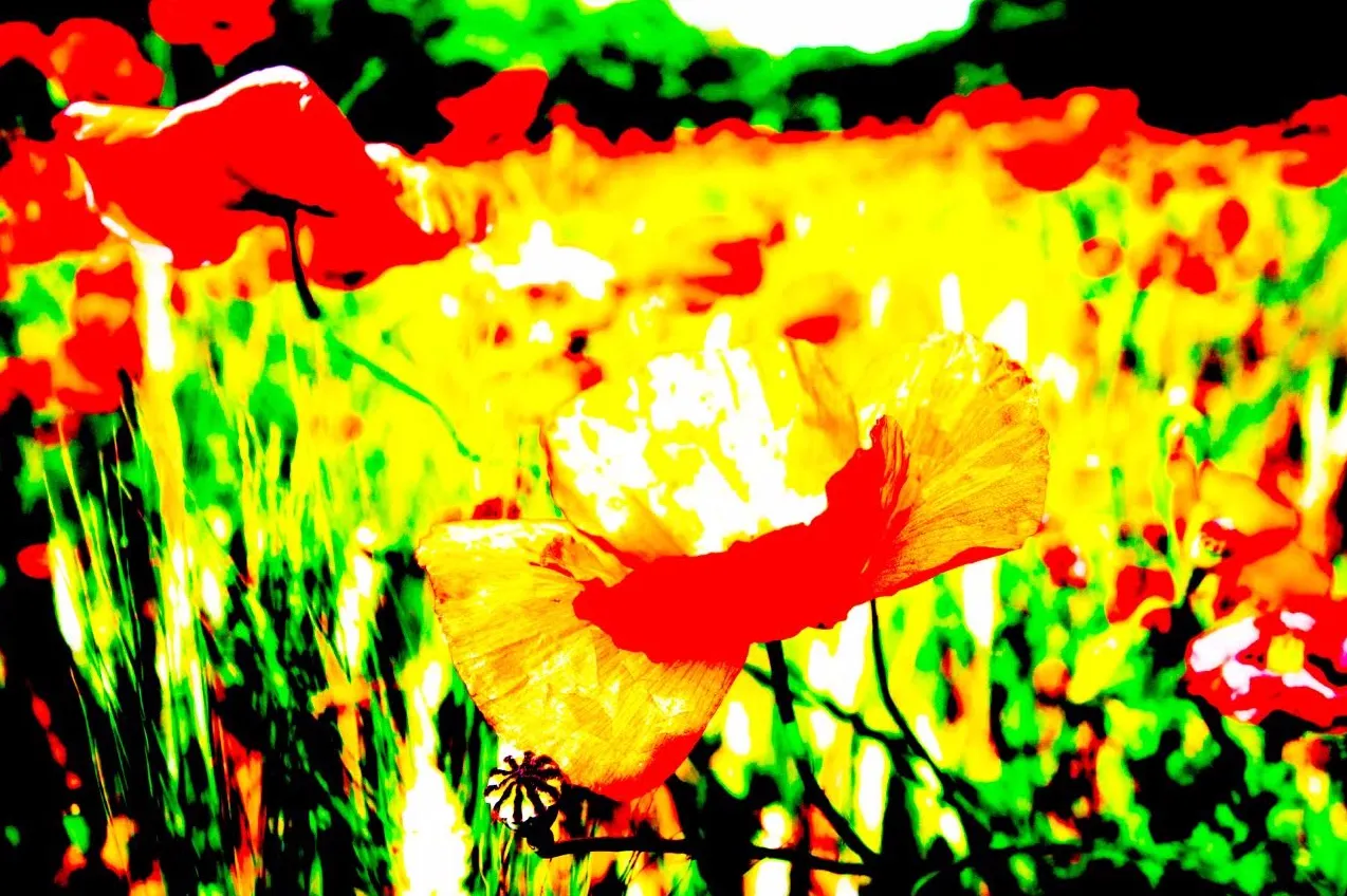 cdnnieuwsnlmediasites14320160930105110cdnnieuwsnlmediasites4320160930104335jan aardenburg 1 e107639b3fa0b2e2161e86eff359623e43c9fc66 2a14f7bf6e77a56650c3b5fb8f95263eb955dc59