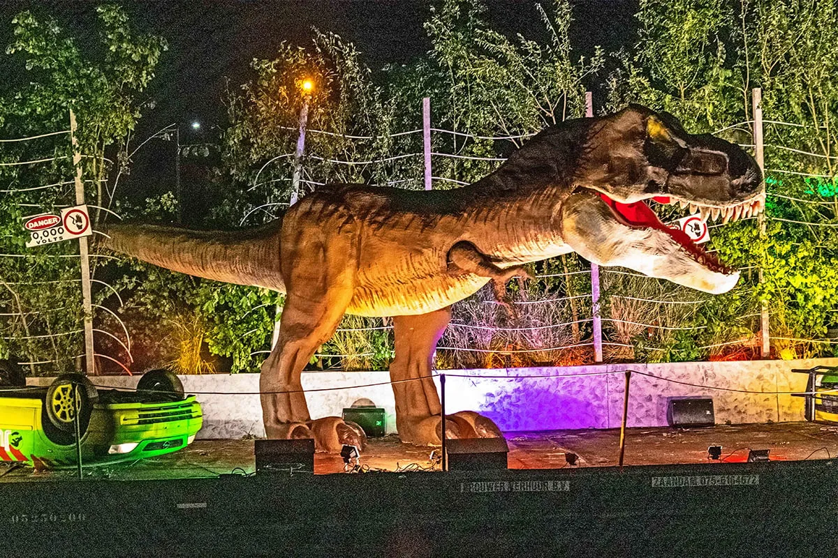 dsc 0081