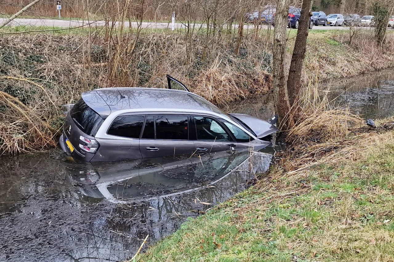 img 20240217 wa0075 kopieren