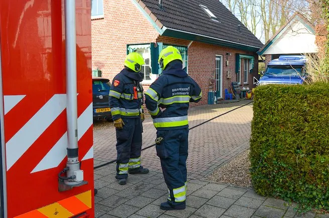 niels 2