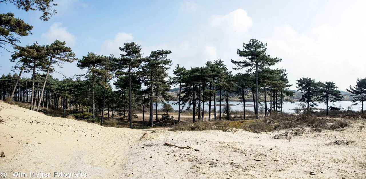 pano2 kennemerduinen maart 2021 wim meijer fotografie