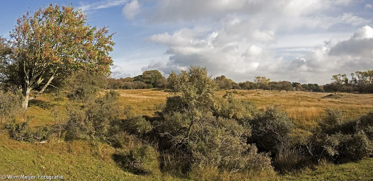 panorama duinen 1
