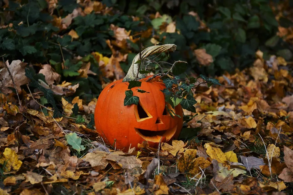 pumpkin 1781240 960 720
