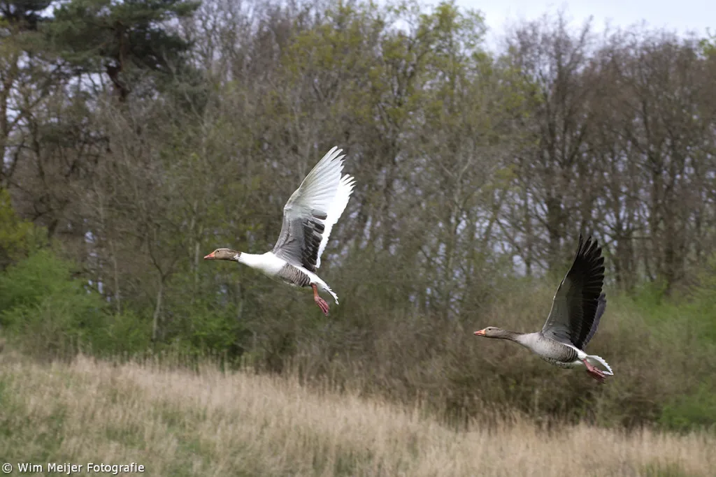 tumblr n3phfz6pd31svvyvco9 1280 1024x683 1