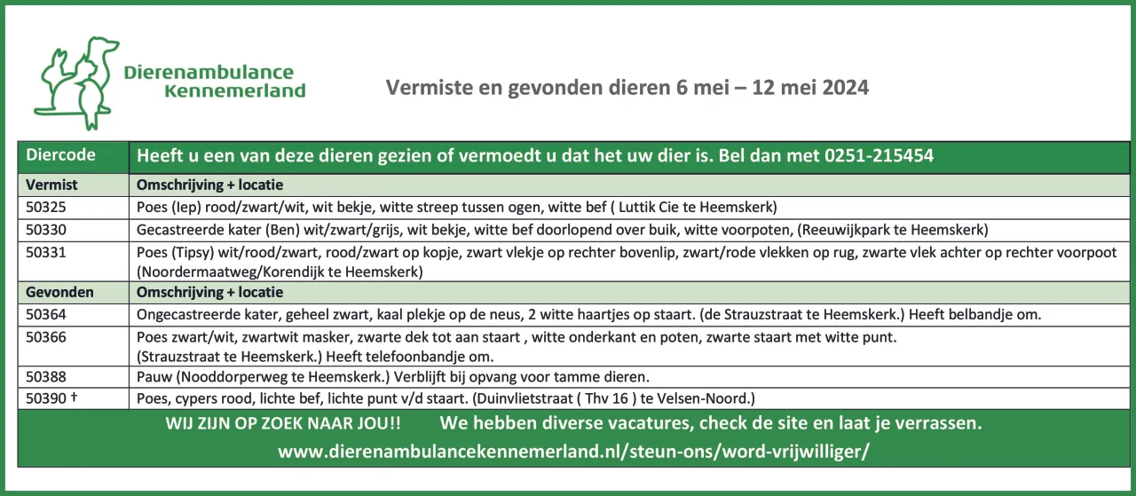 vermiste en gevonden dieren 6 mei e28093 12 mei 2024 scaled