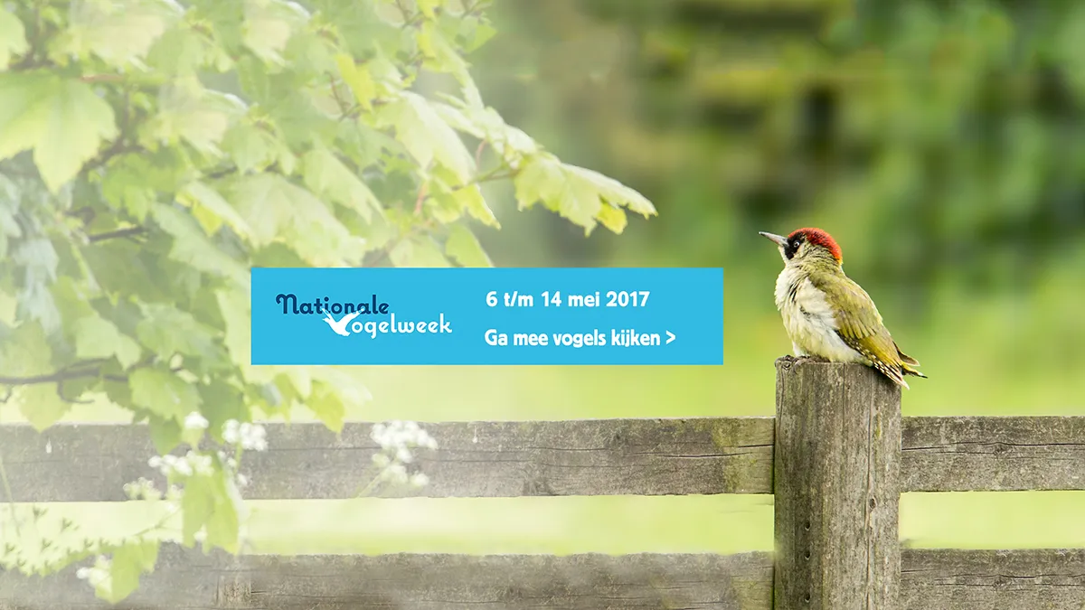 vogelweek 2017