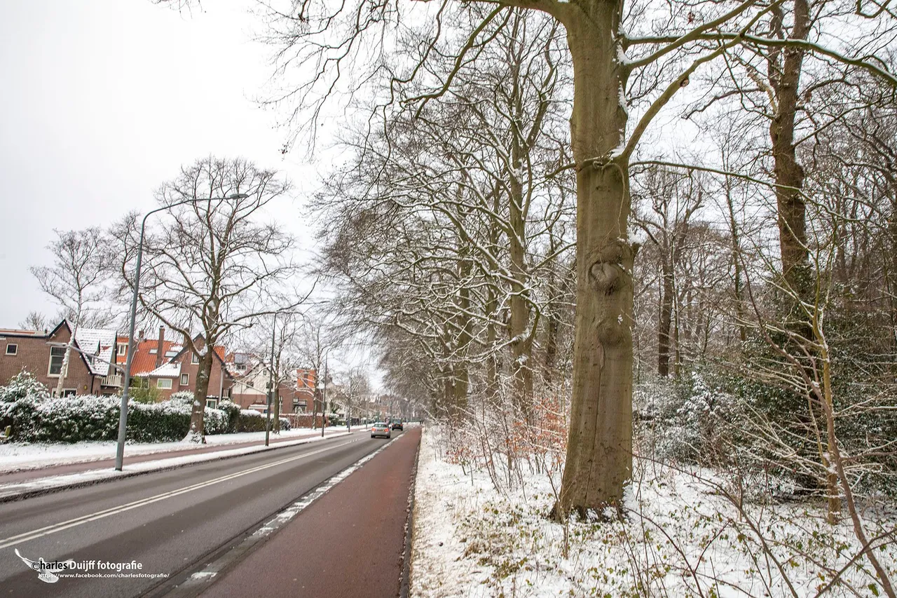 wagenweg1