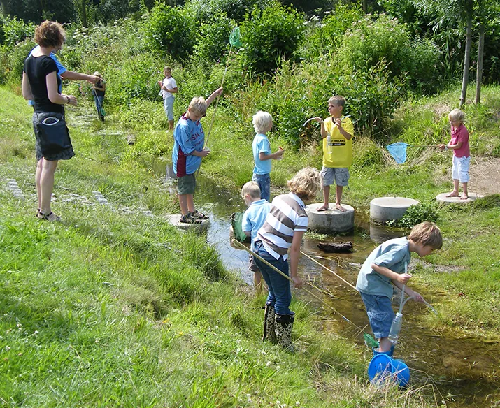 waterdieren