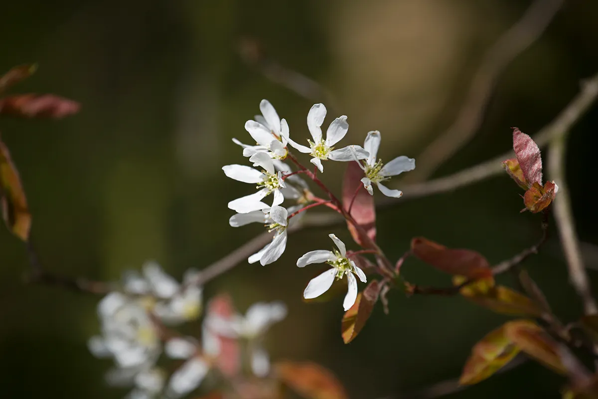 wim meijer fotografie 5i5a7063