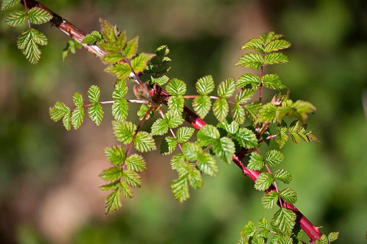 wim meijer fotografie 5i5a7066