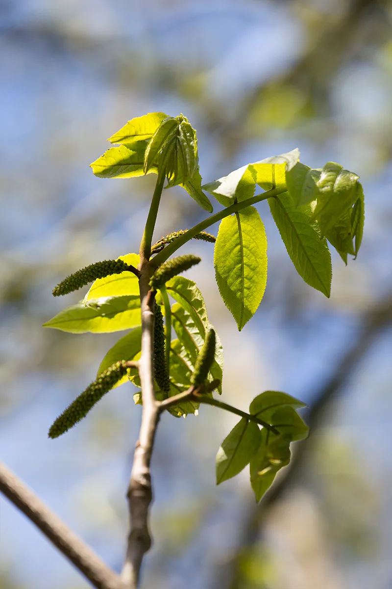 wim meijer fotografie 5i5a7079