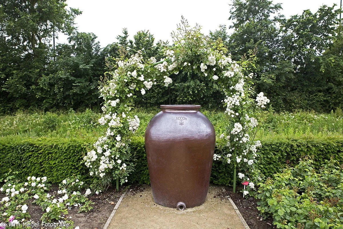 wim meijer fotografie 5i5a9040