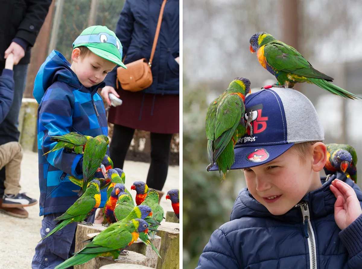 wim meijer fotografie duo