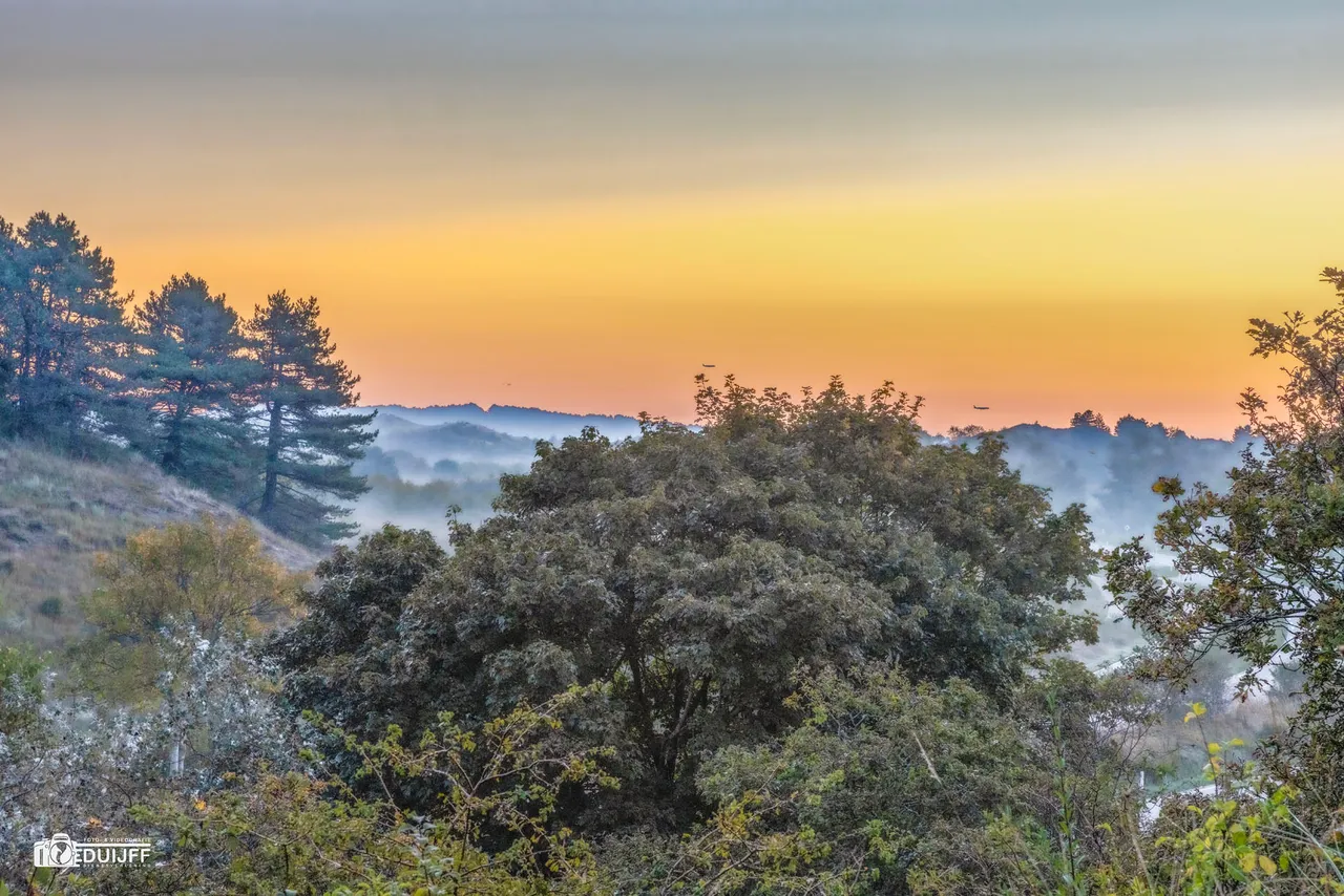 zonsopkomst duin