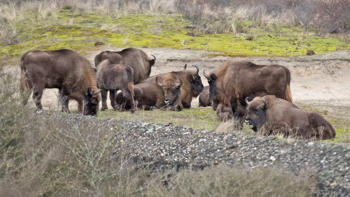 139915779 3563063497126224 7281526763082440982 o