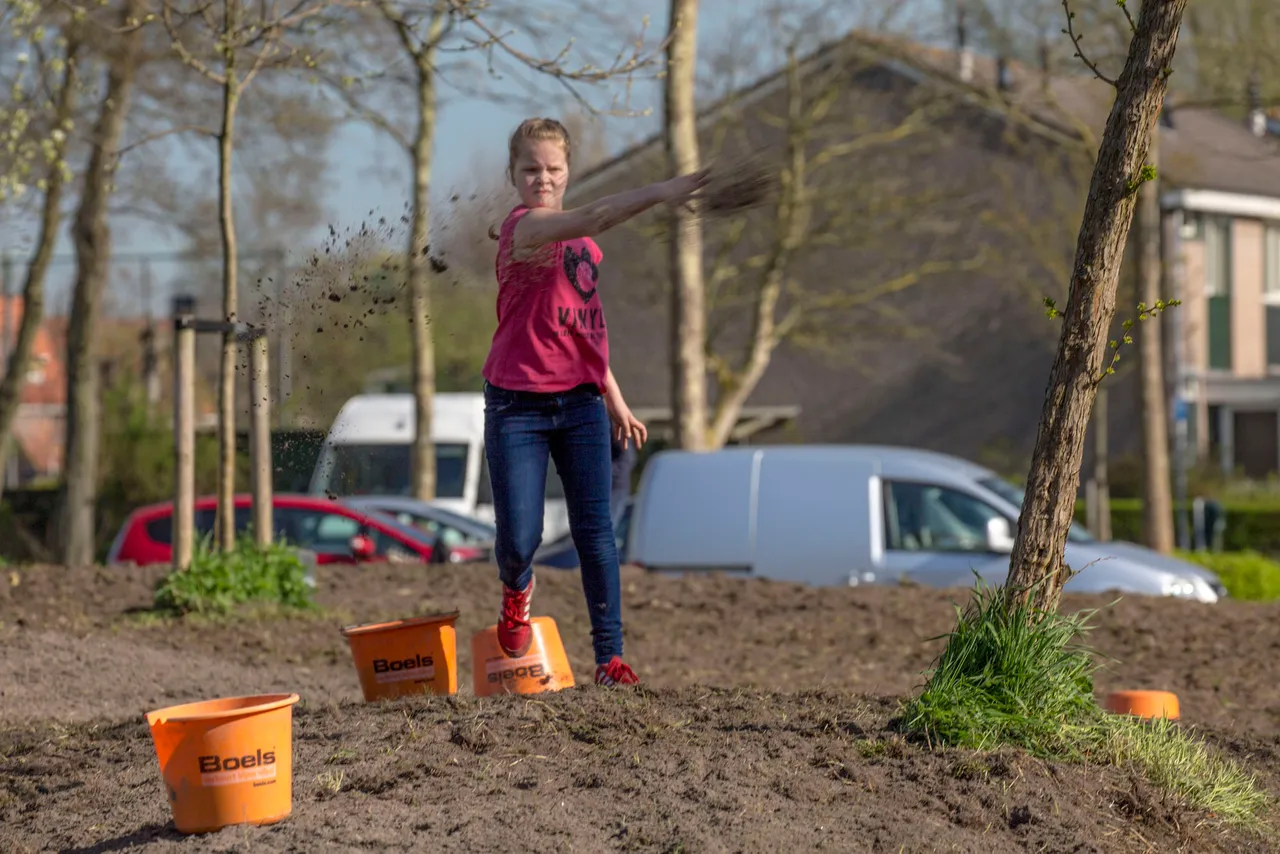 actiefoto zaaien ii