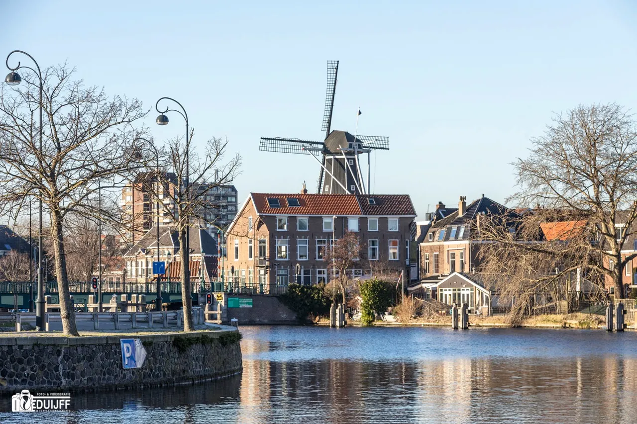 adriaan behind house