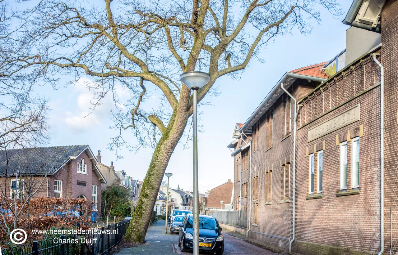boom vooeweg