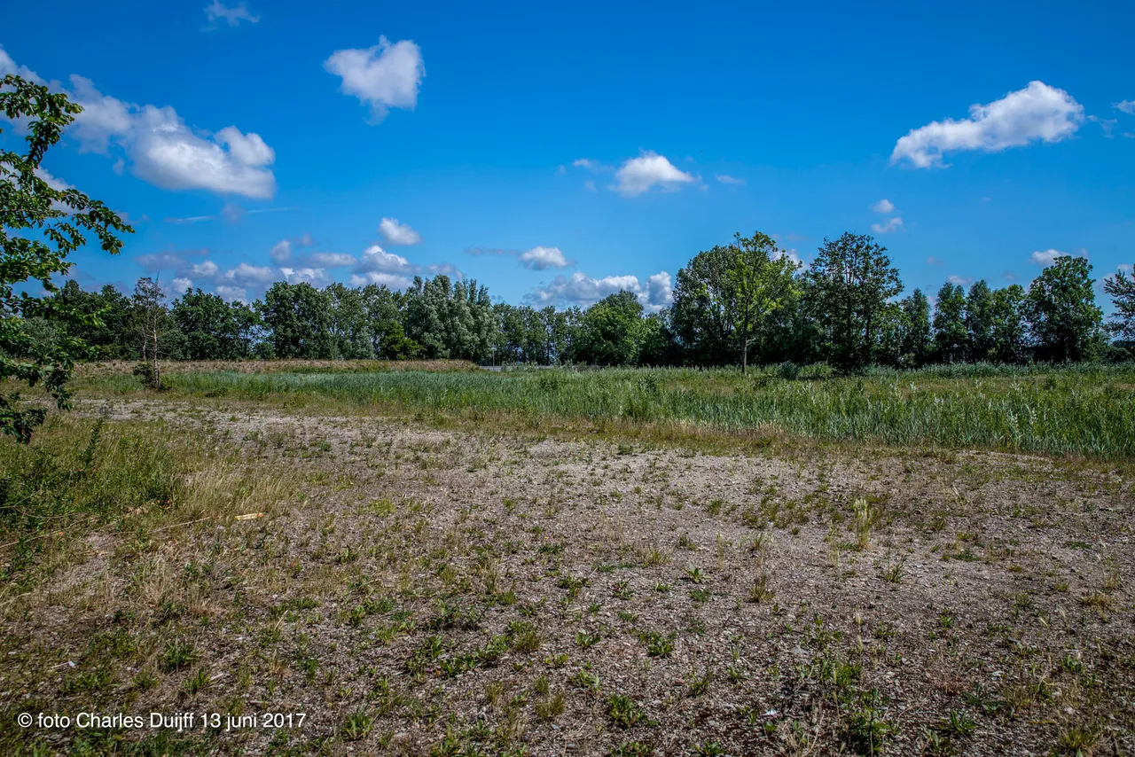 bouwterrein1
