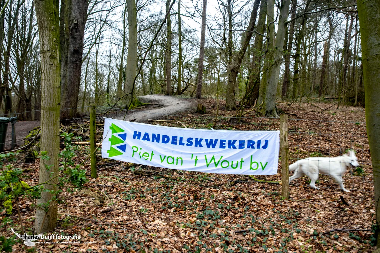 bpd handelskw