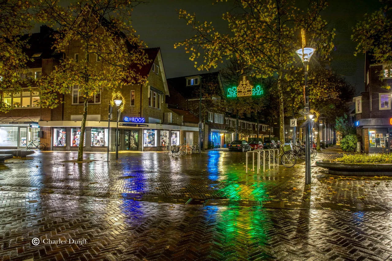 de roos nacht