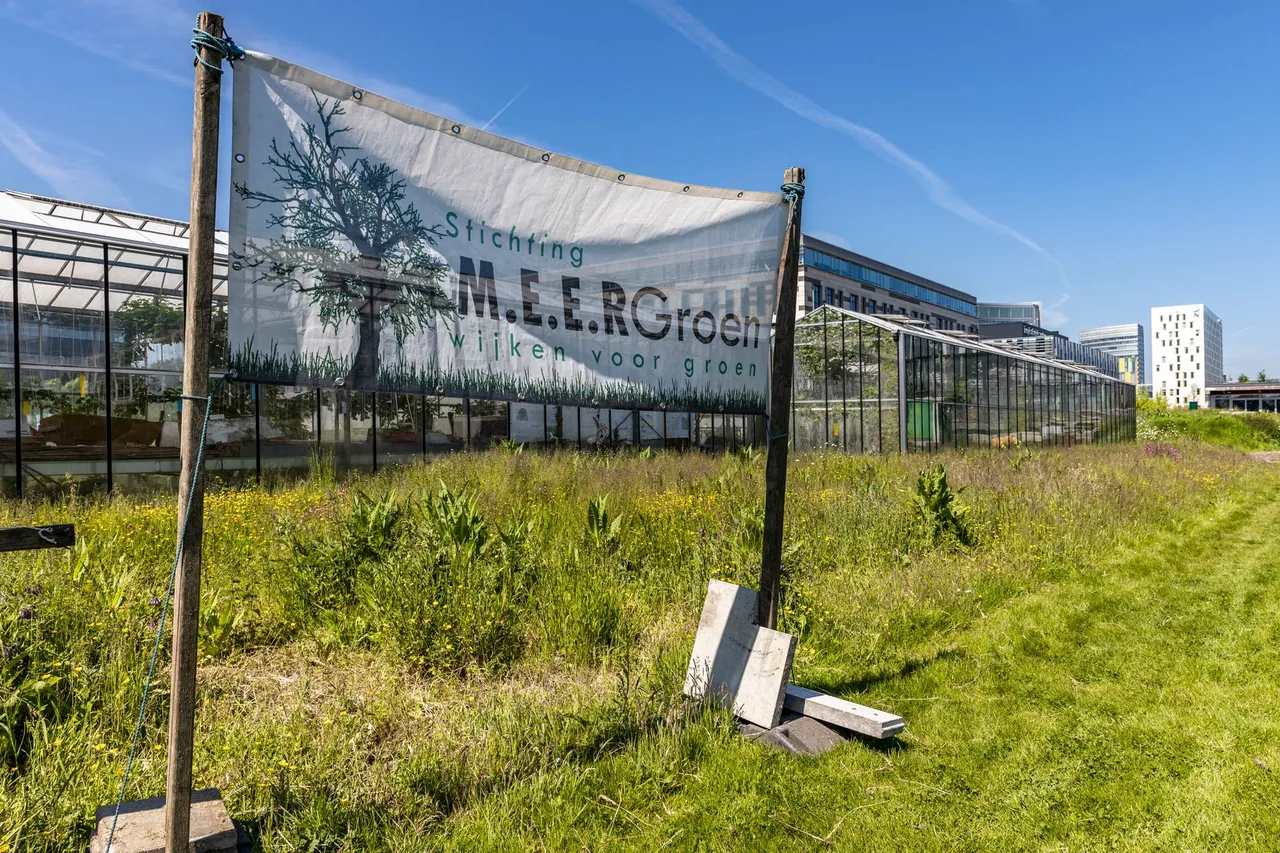 doek stichting meer groen