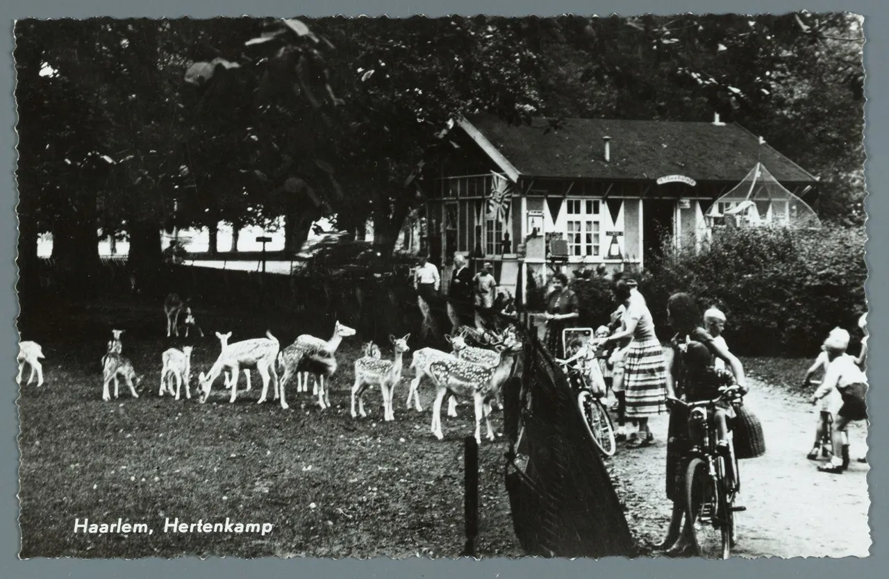 fa80c4f4 fb8e 11df 9e4d 523bc2e286e2 0