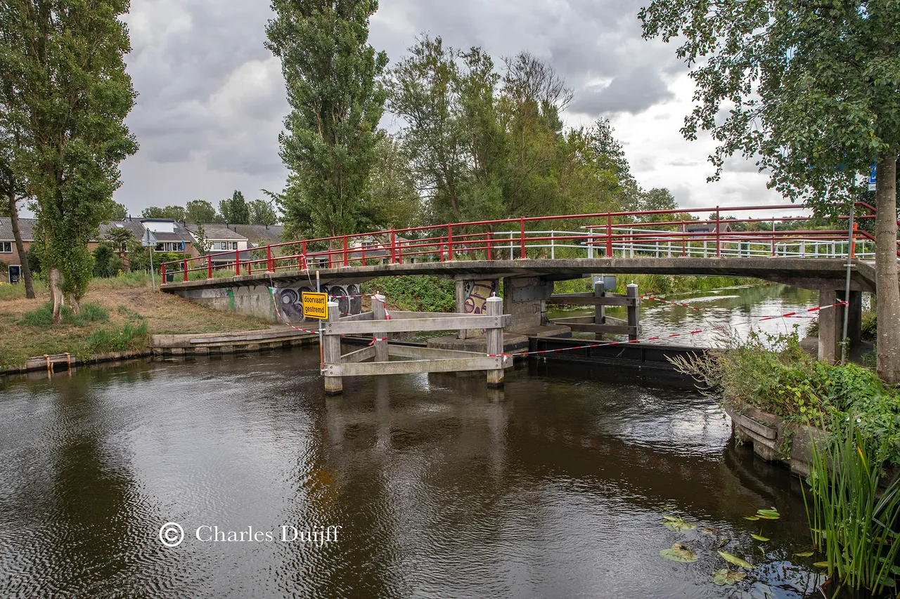 geniebrug1