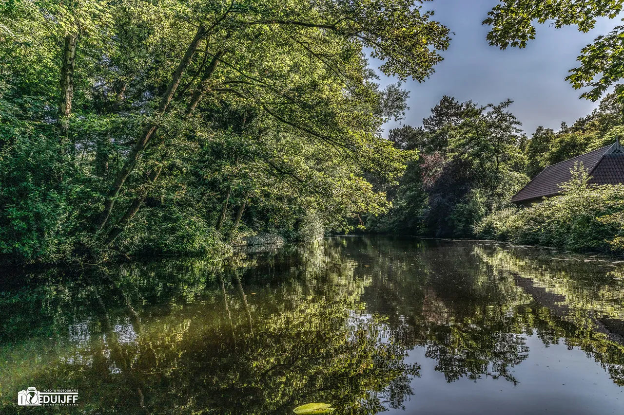 groenendaal natuur