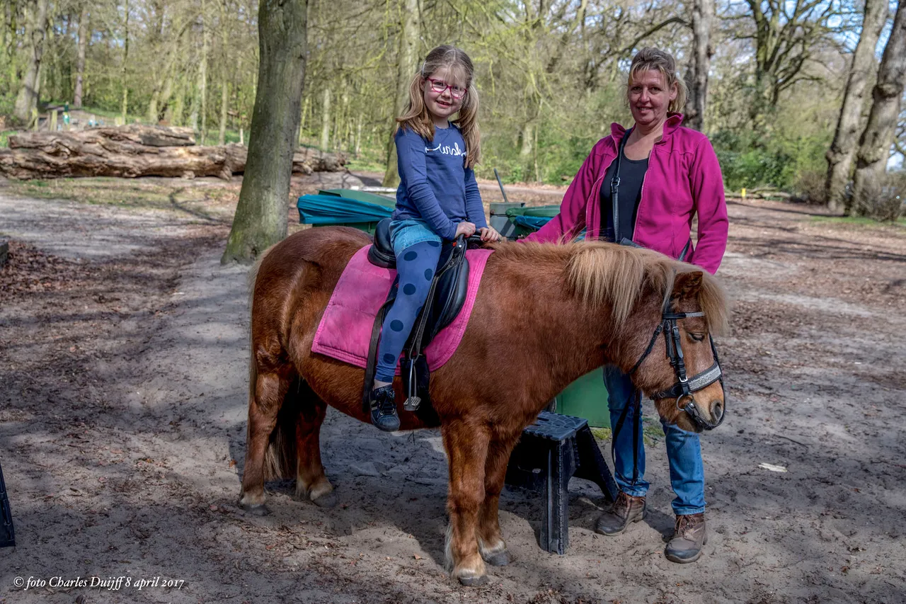 groenendaal7
