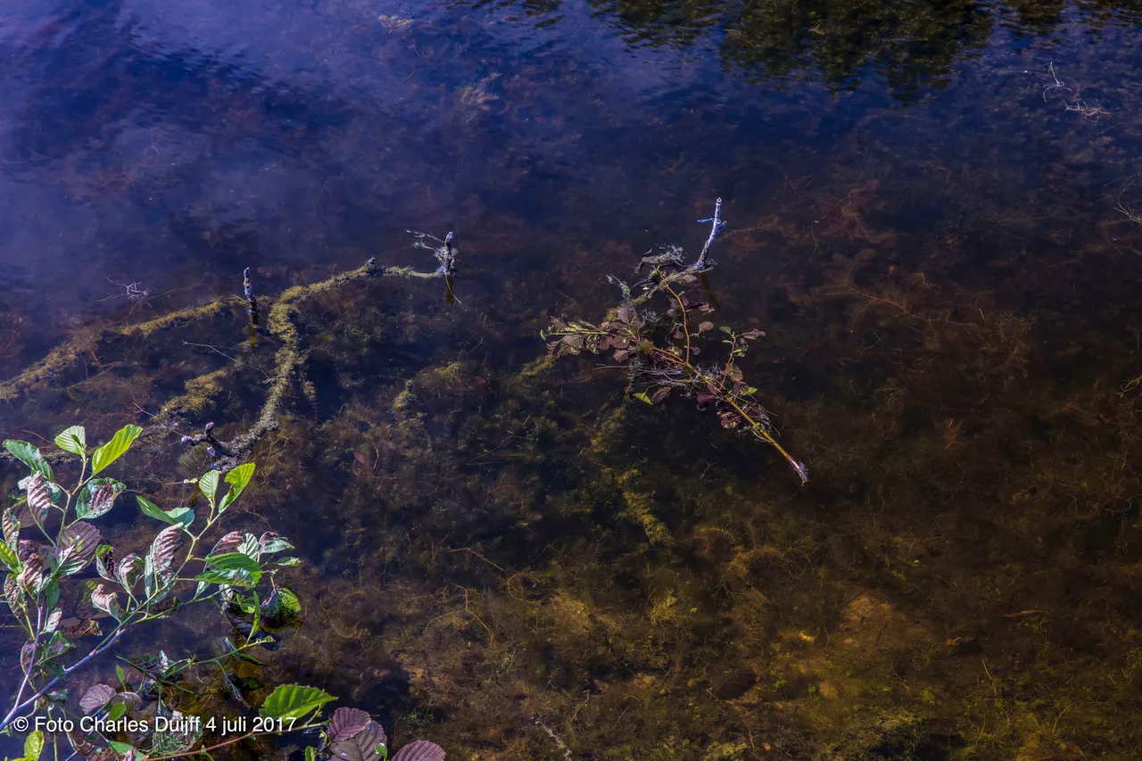 helder water