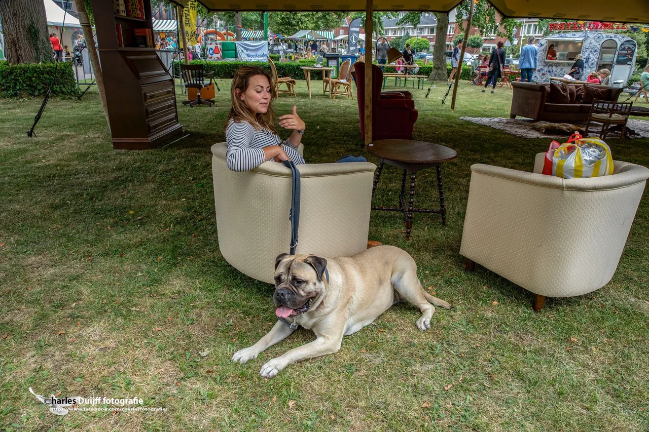 hond