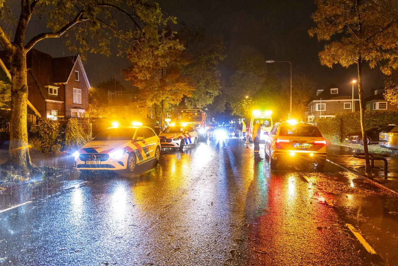 img 20231103 wa0006 1