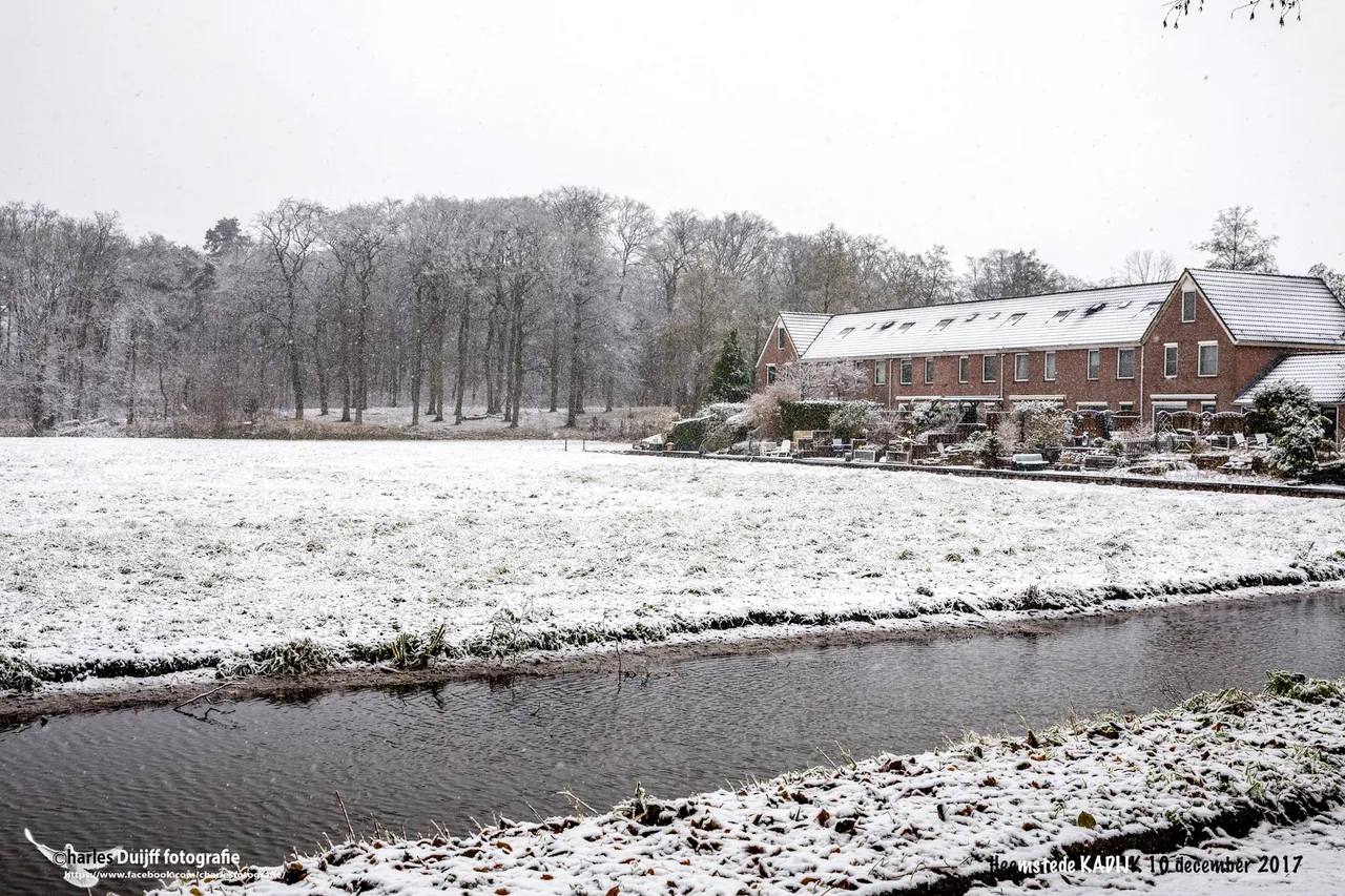 kadijk
