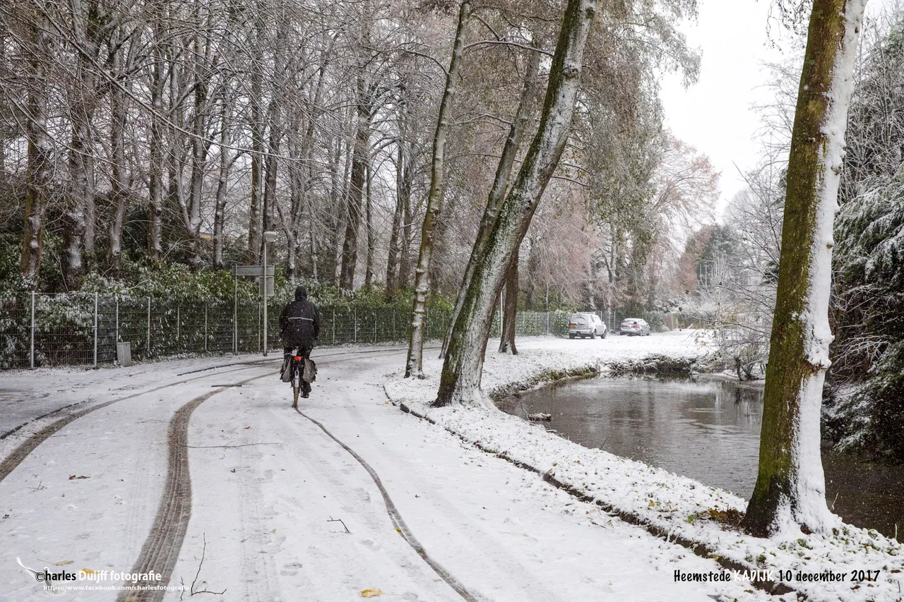 kadijk2